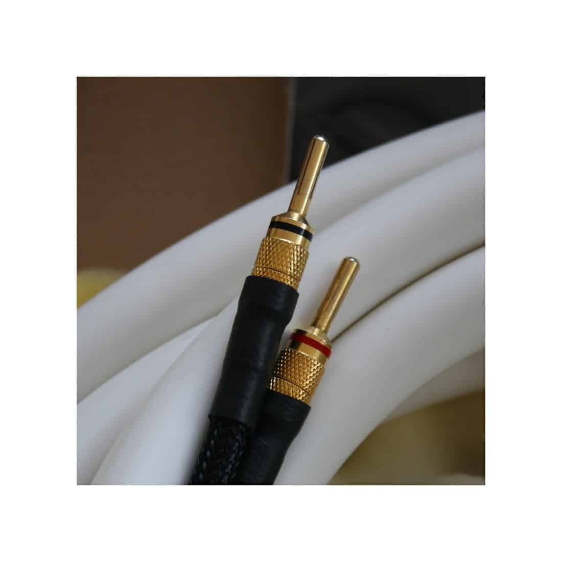 Viard Audio Silver HD20