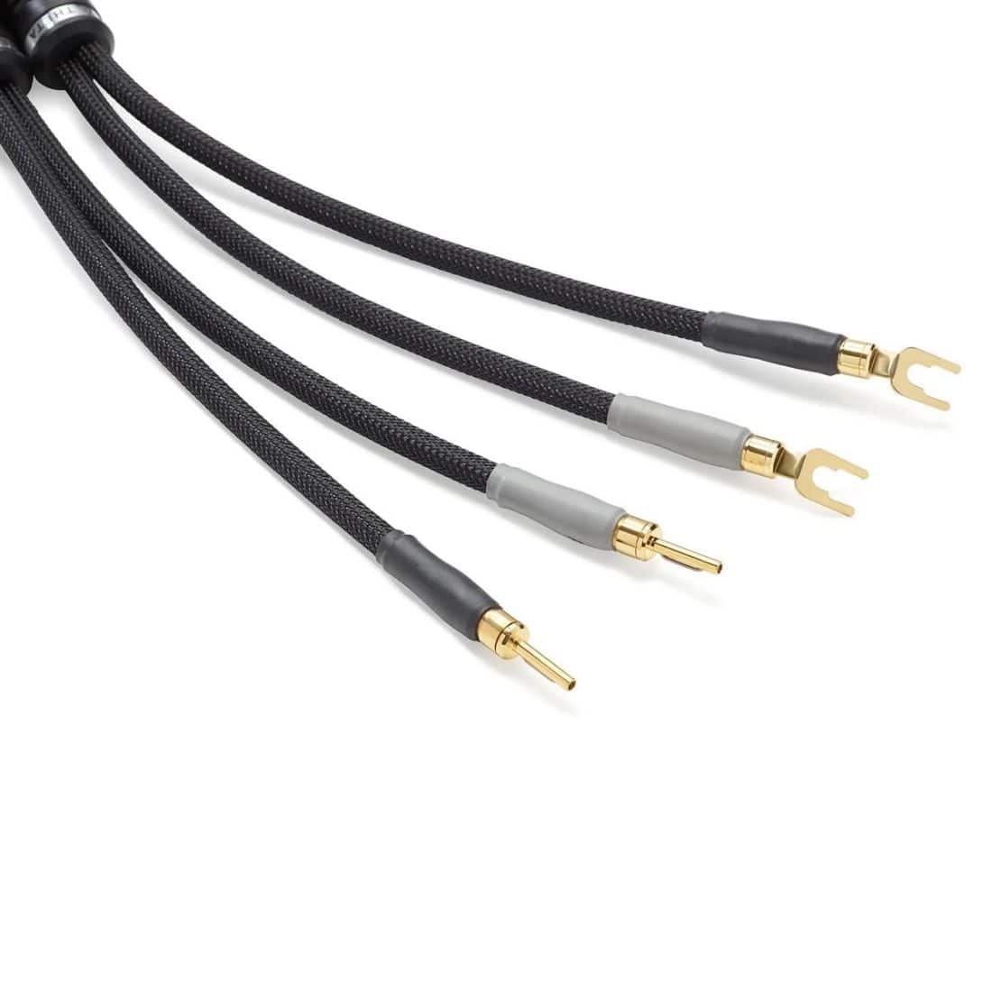 Shunyata Research Theta SP