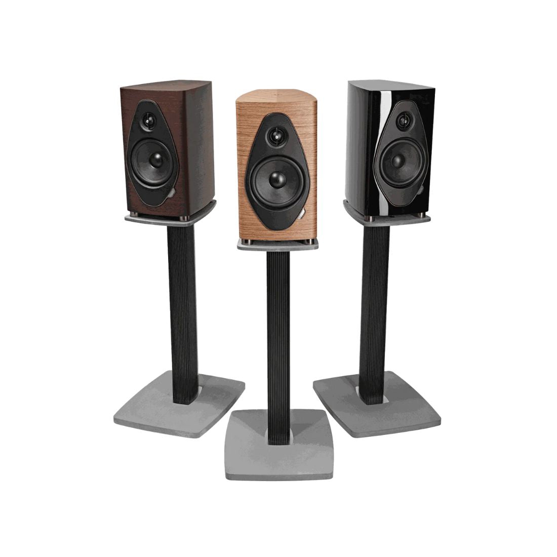 Sonus faber Sonetto II G2