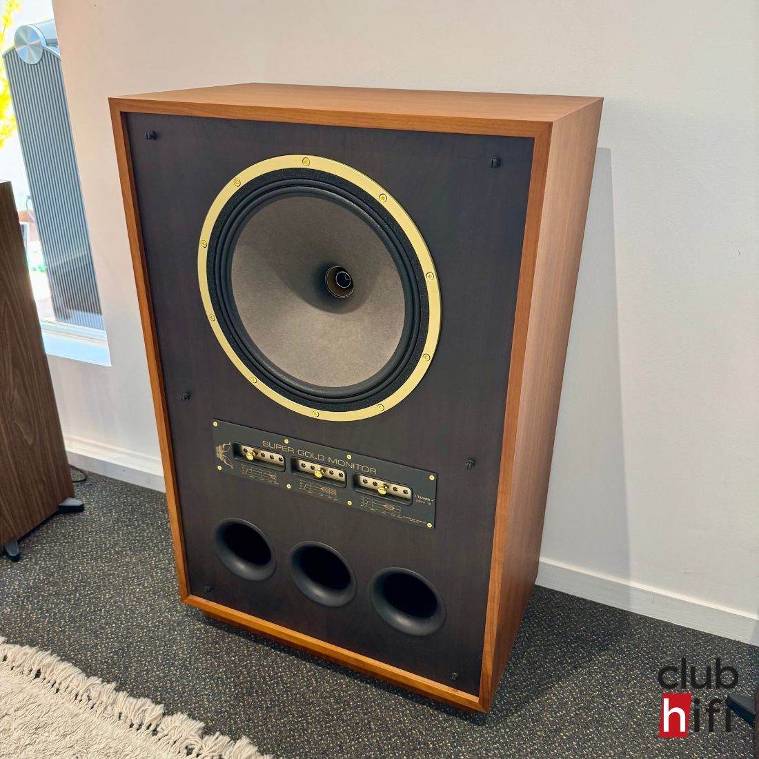 Tannoy SGM15 - Exposition