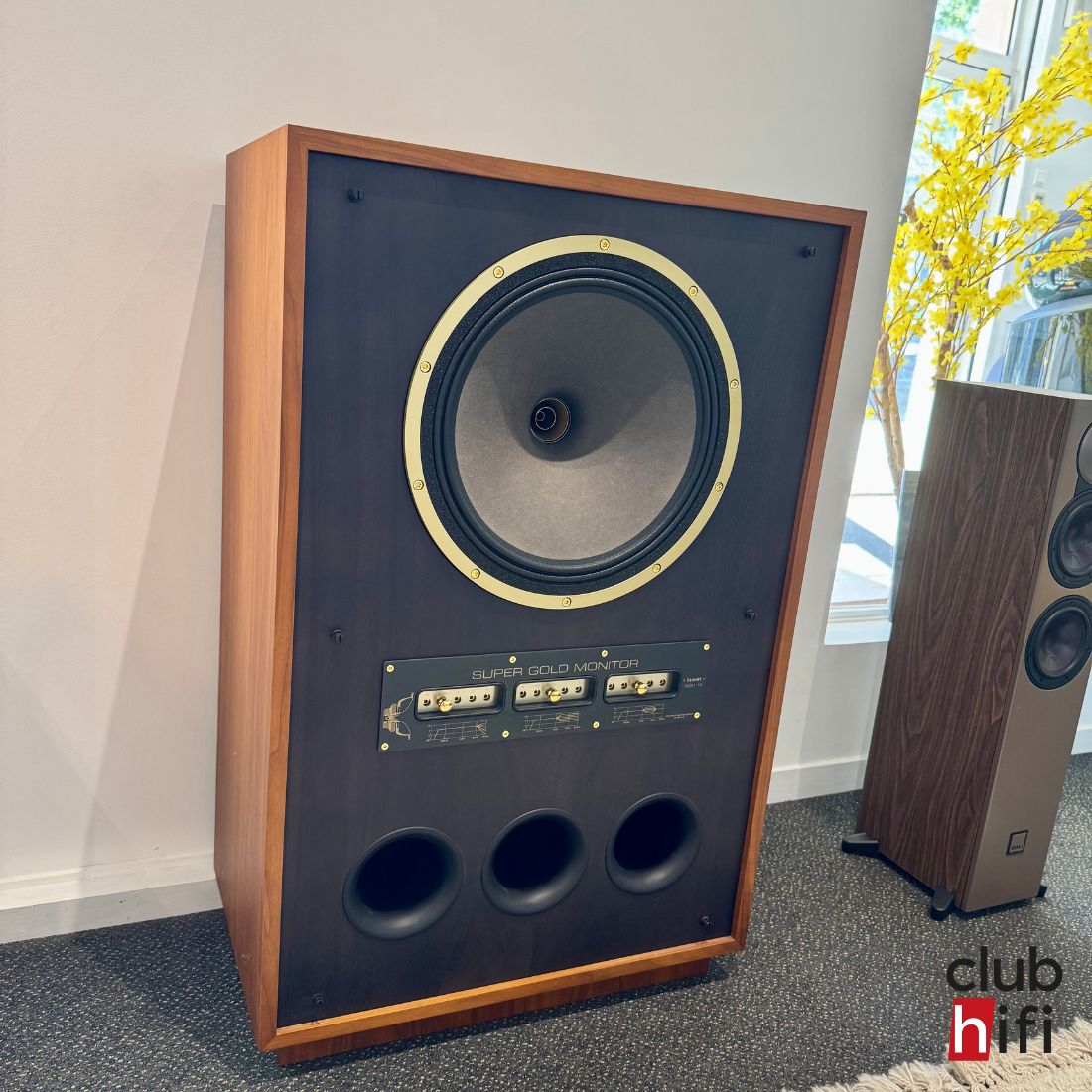Tannoy SGM15 - Exposition