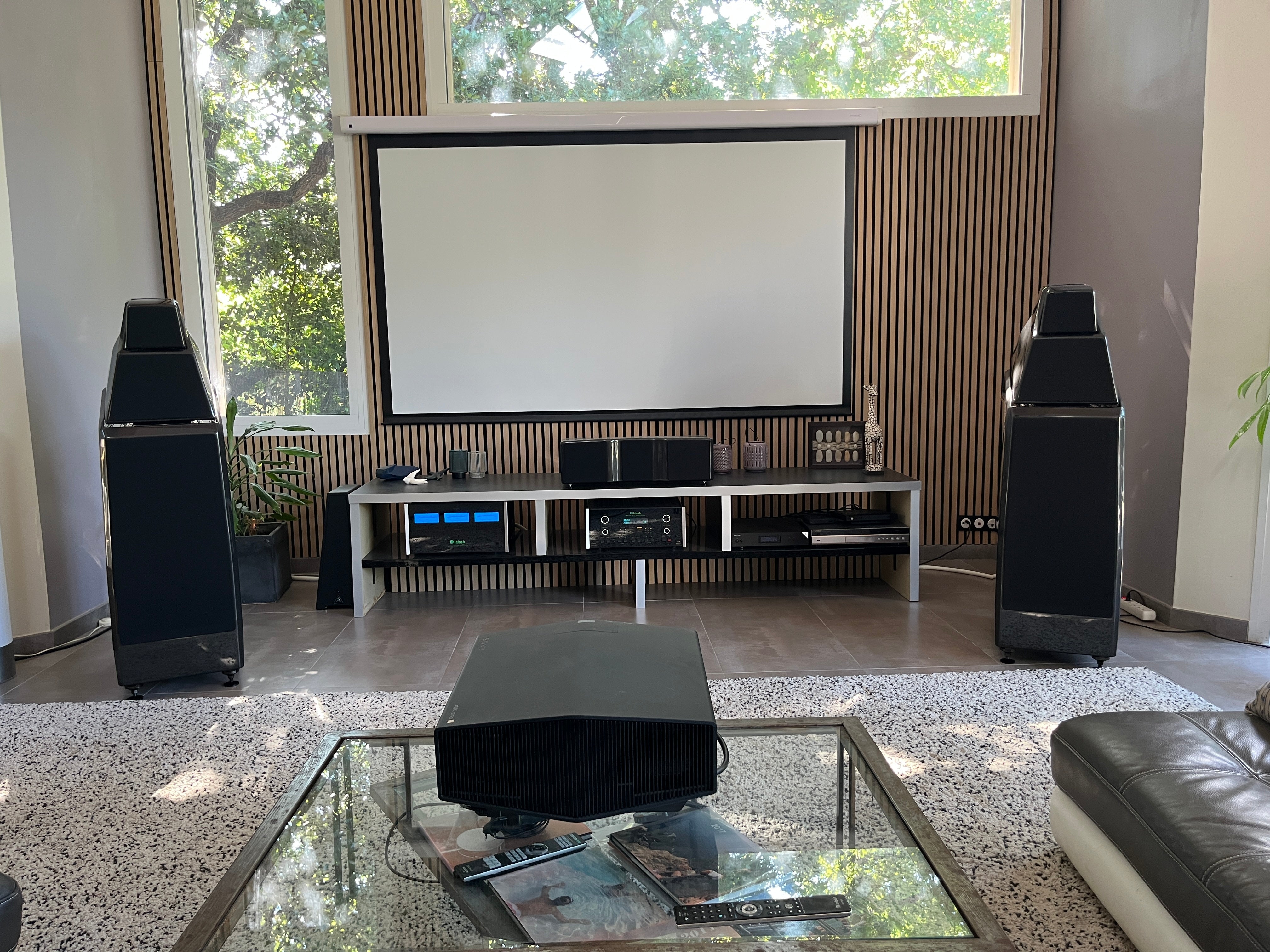 Installation Wilson Audio Alexia V