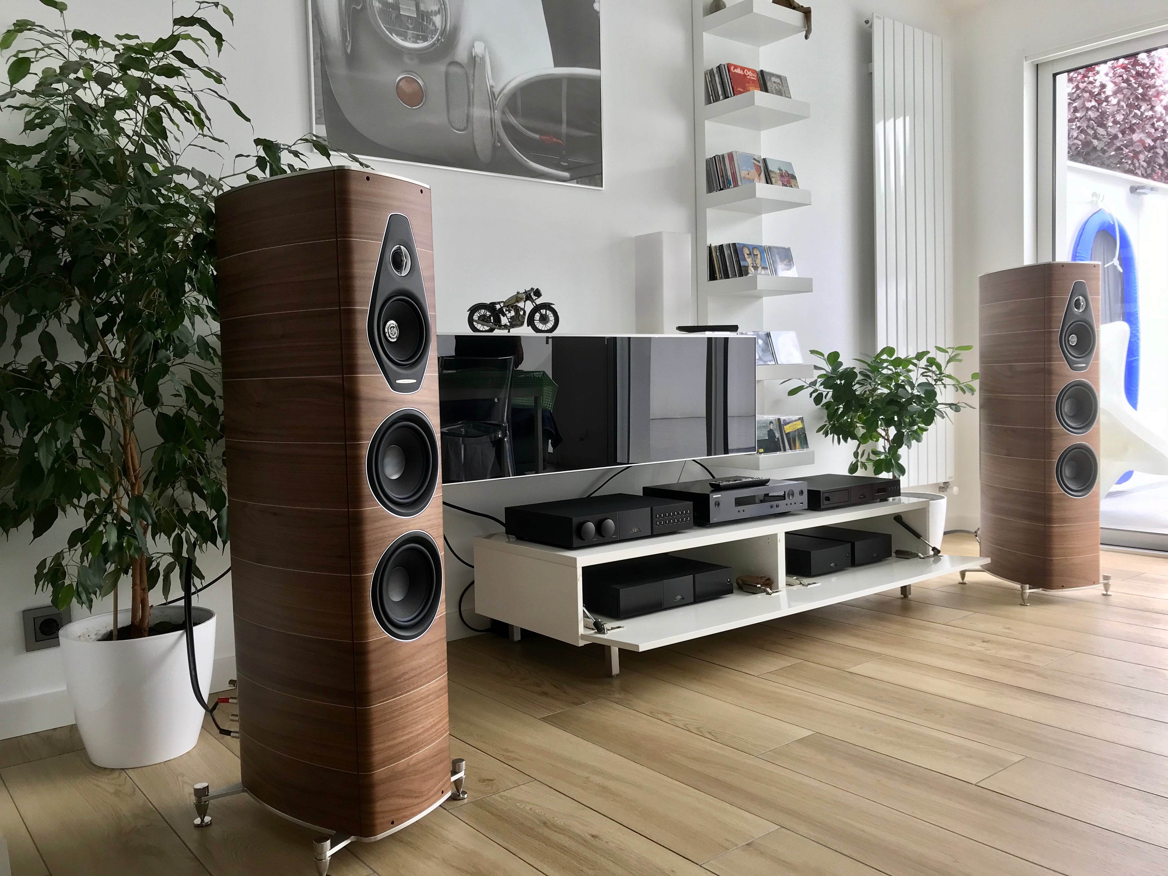 Installation Sonus faber à Bordeaux