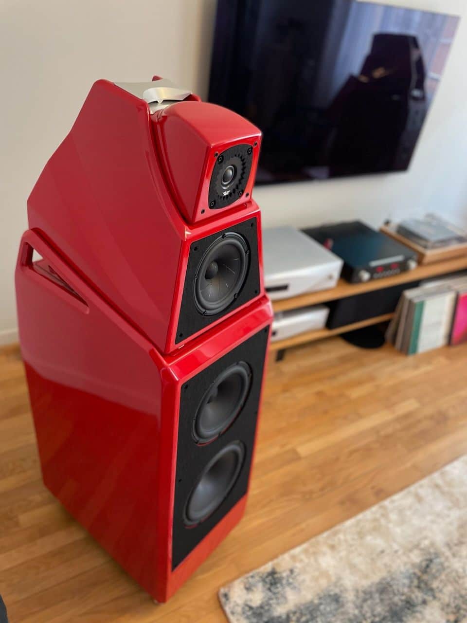 Installation Wilson Audio Alexia V