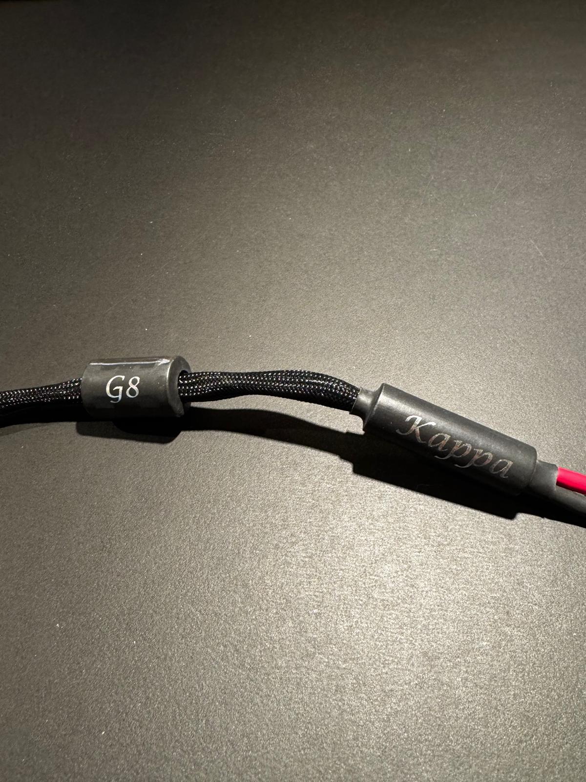 Câbles Haut Parleur Esprit KAPPA G8 2x2m