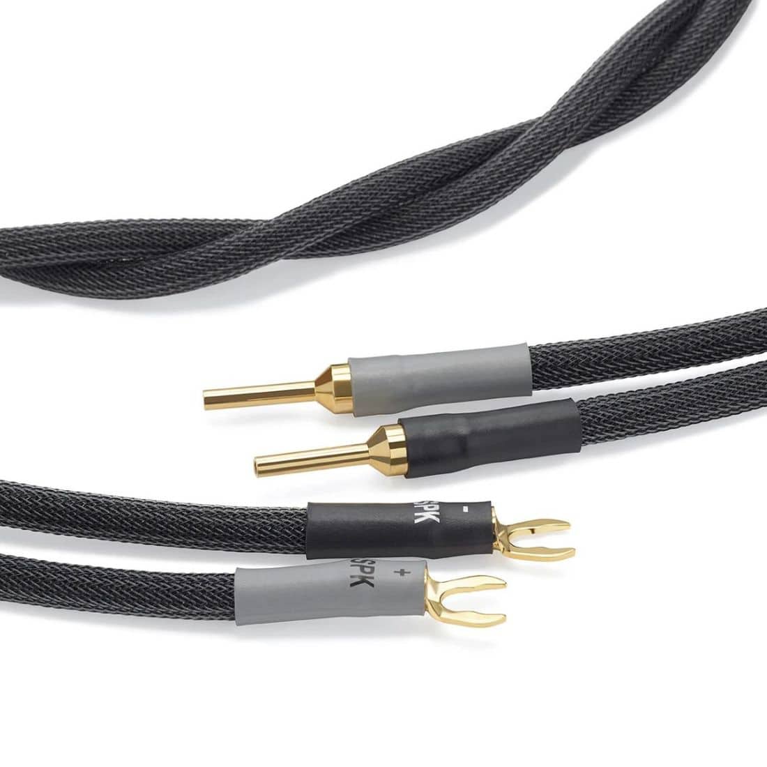 Shunyata Research Gamma SP