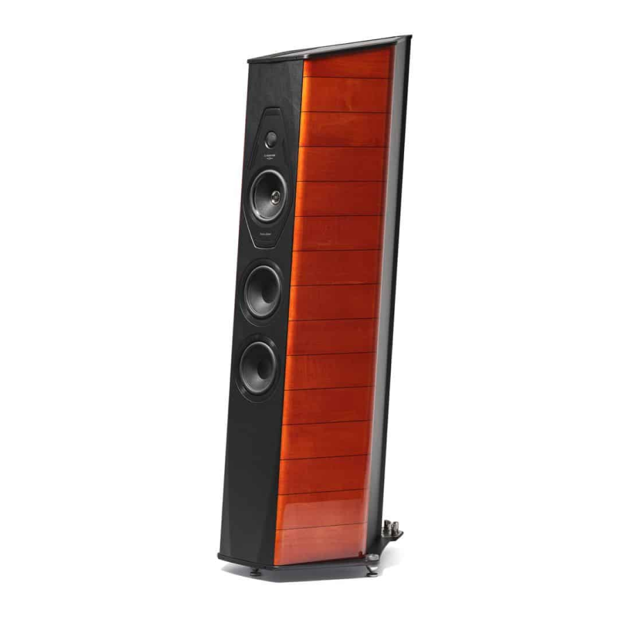 Sonus faber Il Cremonese Ex3me
