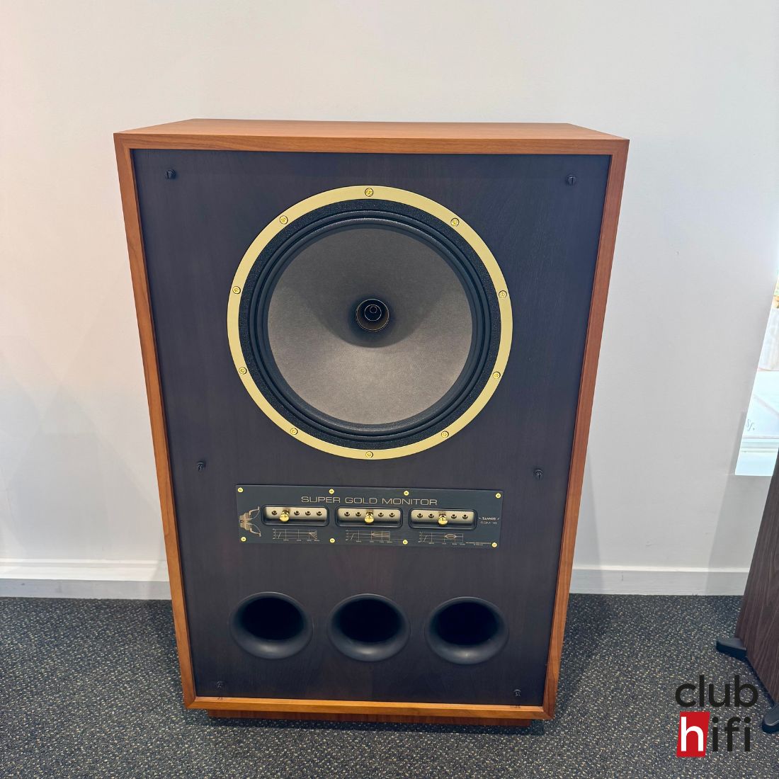 Tannoy SGM15 - Exposition