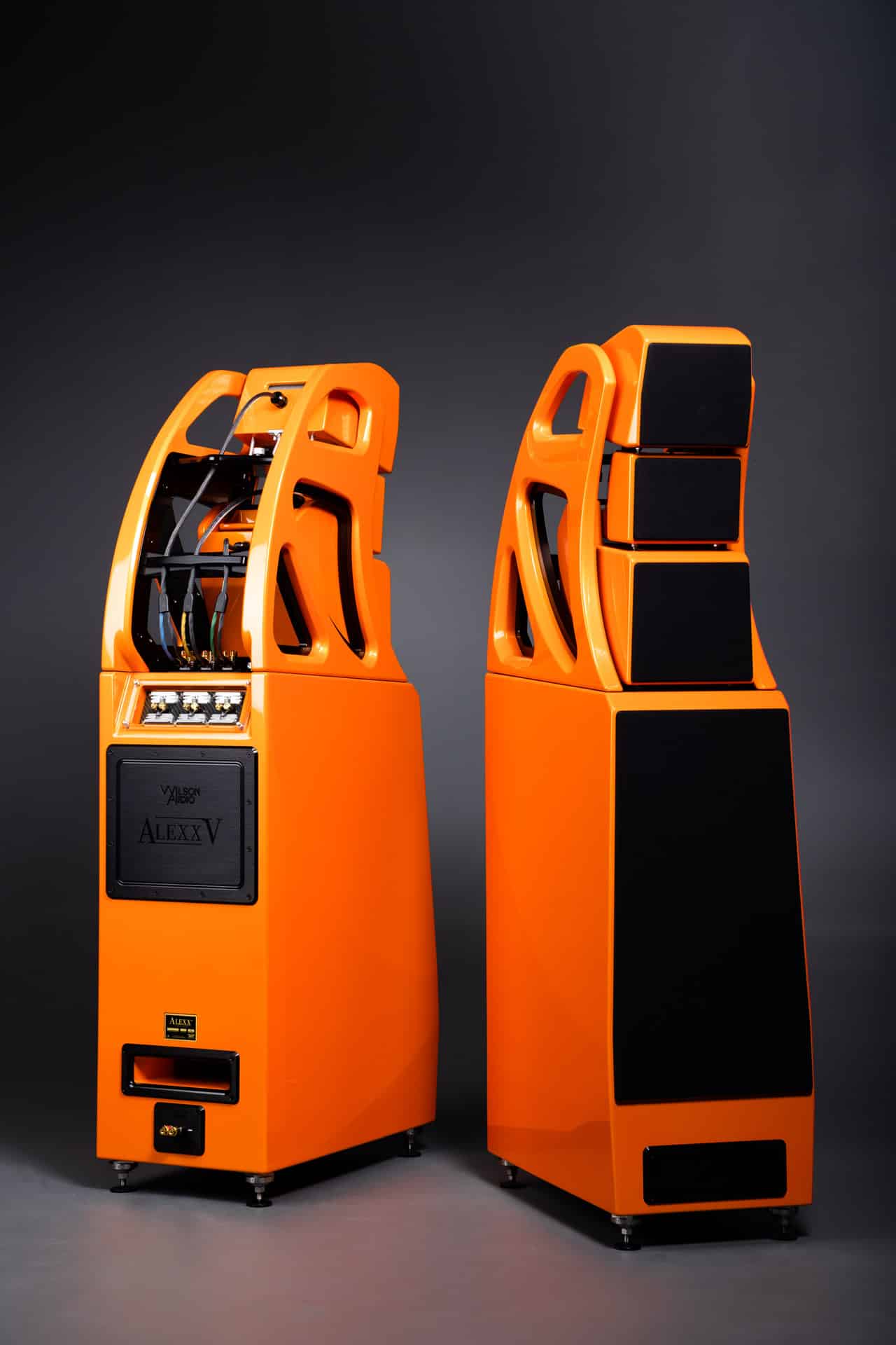 Wilson Audio Alexx V