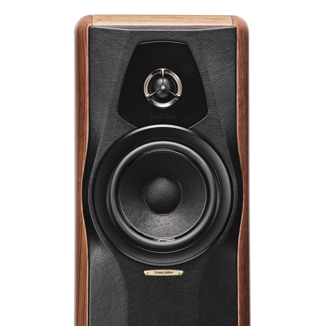 Sonus faber Maxima Amator