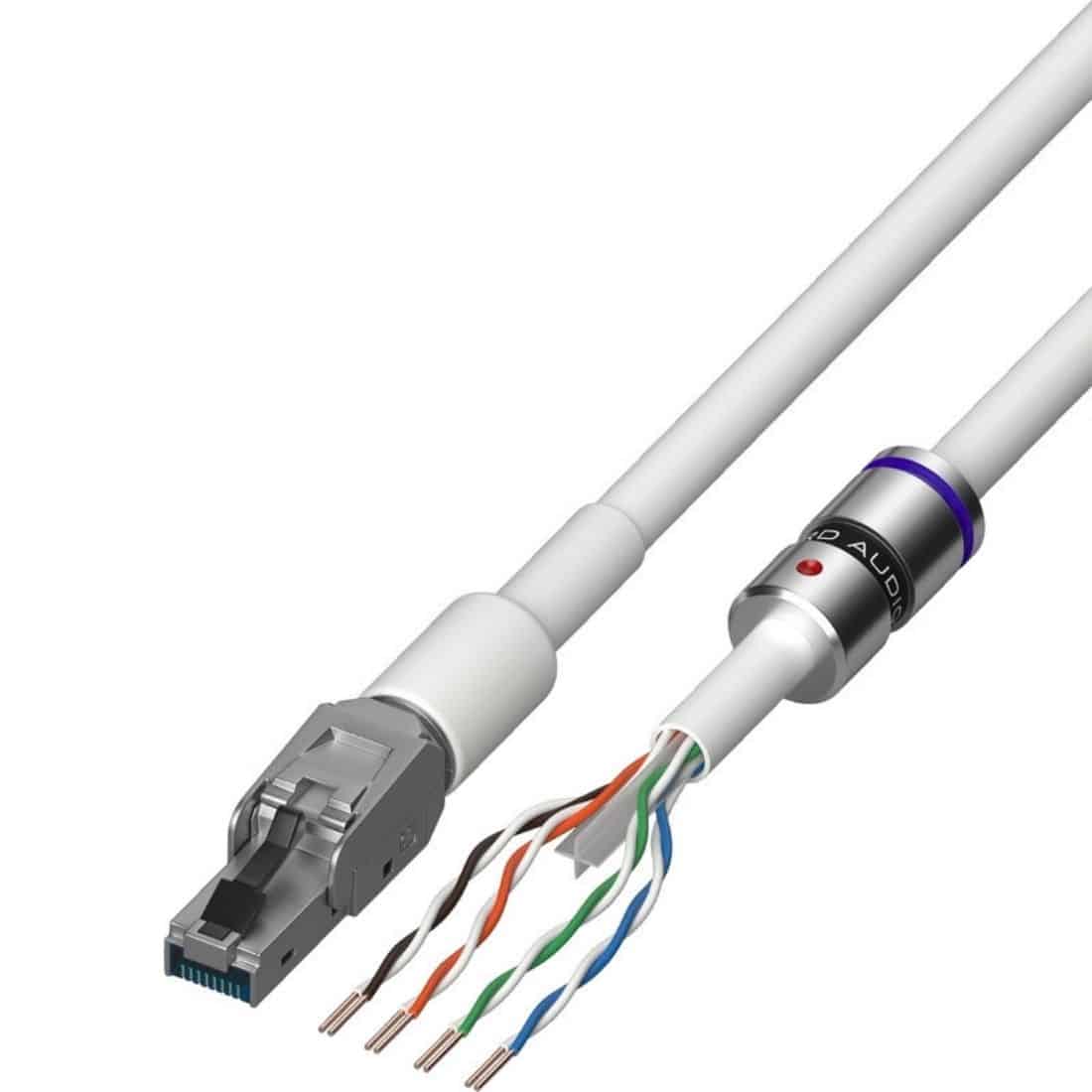 Viard Audio Silver HD 12 (Ethernet)